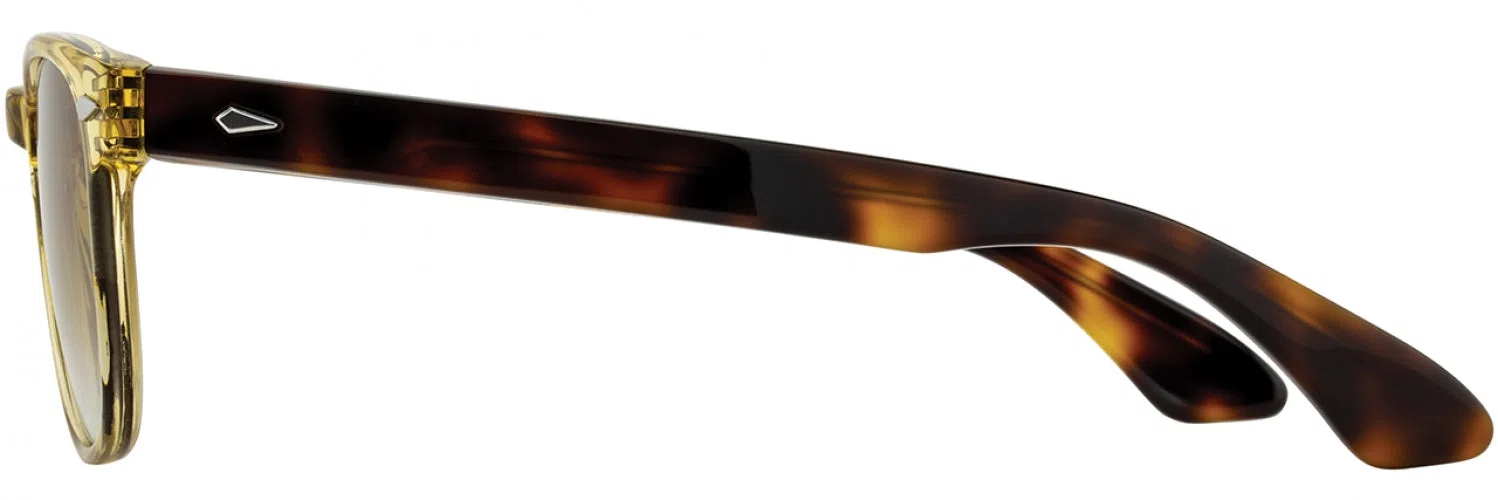 American Optical AO1004 Sunglasses - view 14